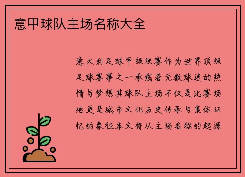 意甲球队主场名称大全